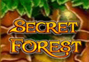 Таинственный аппарат Secret Forest на реальные деньги